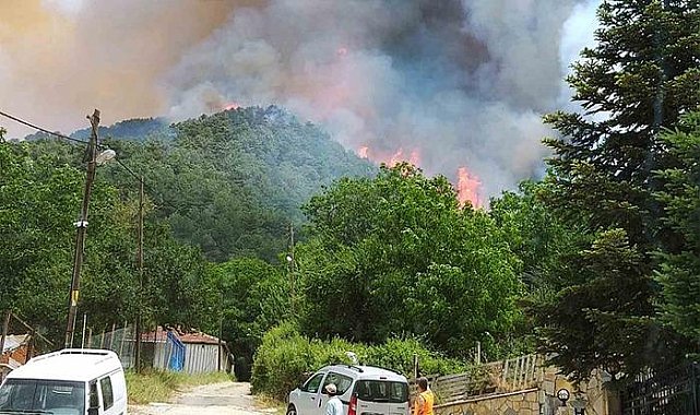 Milas'ta korkutan orman yangını! Çevre ilçelerden de destek istendi