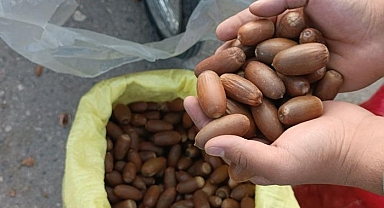 Tezgahta yerini aldı! İbrahim Saraçoğlu da öneriyor: Şeker hastalığına birebir faydalı!